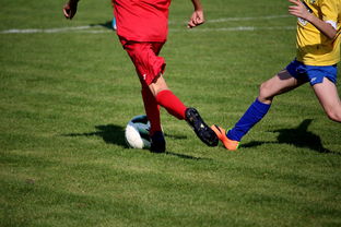 爱游戏娱乐-世界台球联赛中国队勇夺团体亚军，世界台球联赛中国队勇夺团体亚军是谁